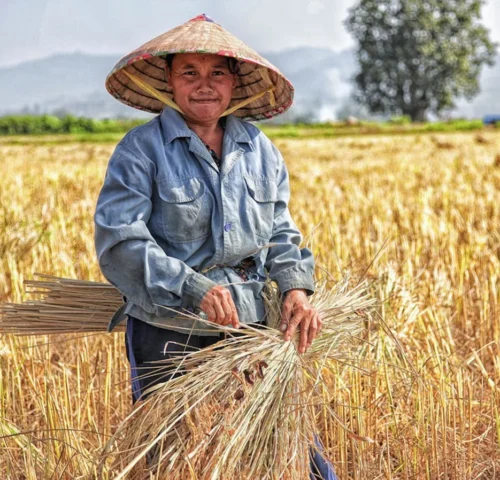 There are many variations of passages of Lorem Ipsum available, but majority have suffered teration in some form, by injected humour, or randomised words which don't look even slight believable. If you are going to use a passage of Lorem Ipsum.